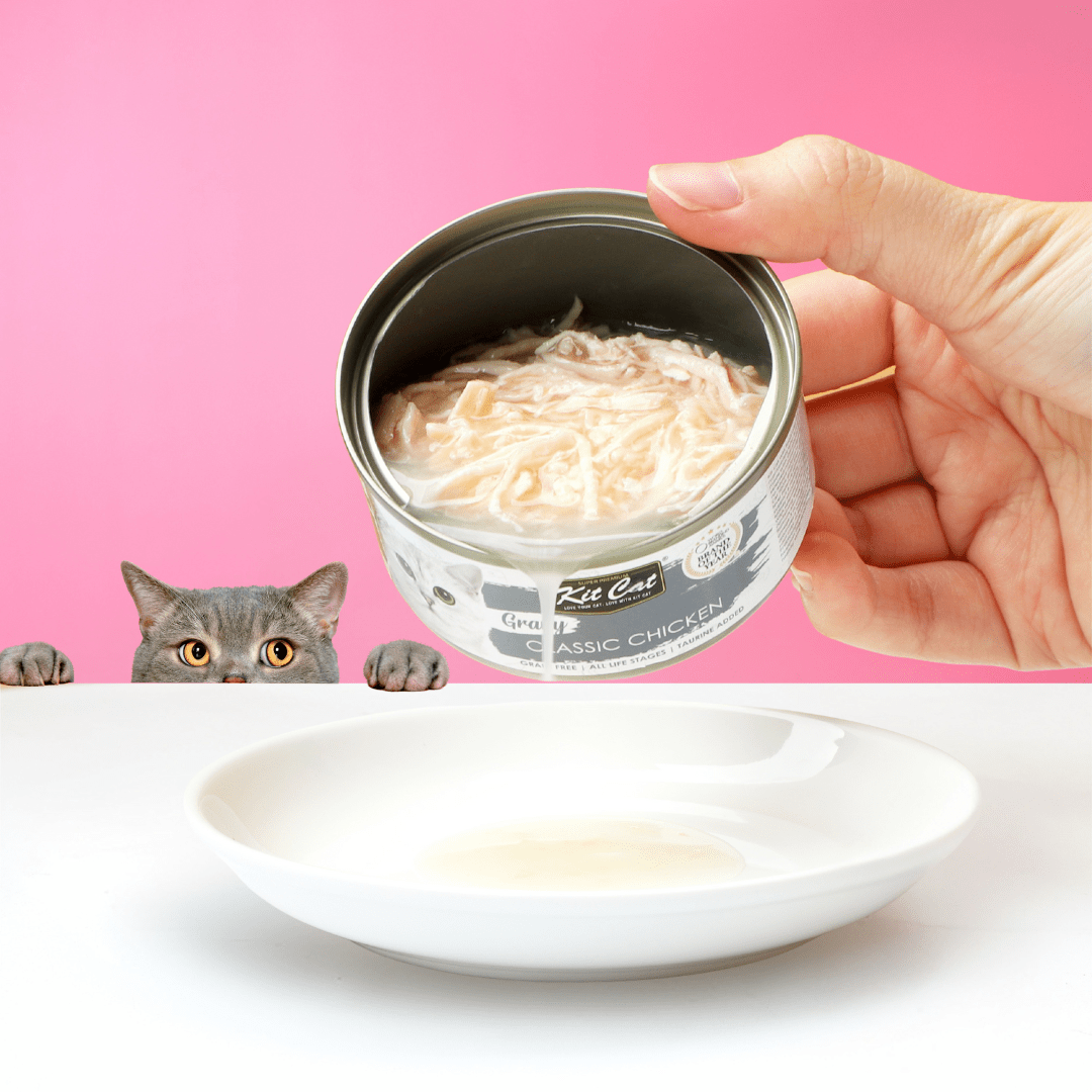 KITTY Cat Paté Wild, 6 X 85 G, Cibo Umido Per Gatti, Senza Cereali, Con Taurina, Olio Di Salmone E Cozze Verdi, Mangime Completo Ad Alto Contenuto Di Carne, Made In Germany