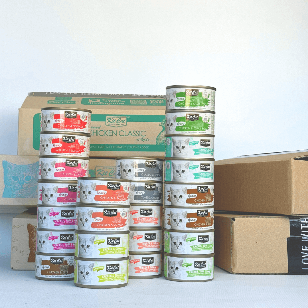 Kit Cat Pack de Comida Húmeda - Pollo (24 uds)