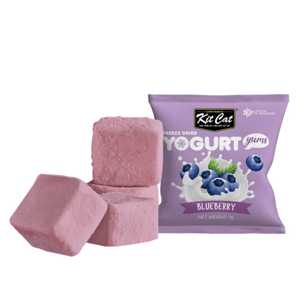 Yogurt Yums arándano | Snack de yogur liofilizado para gatos