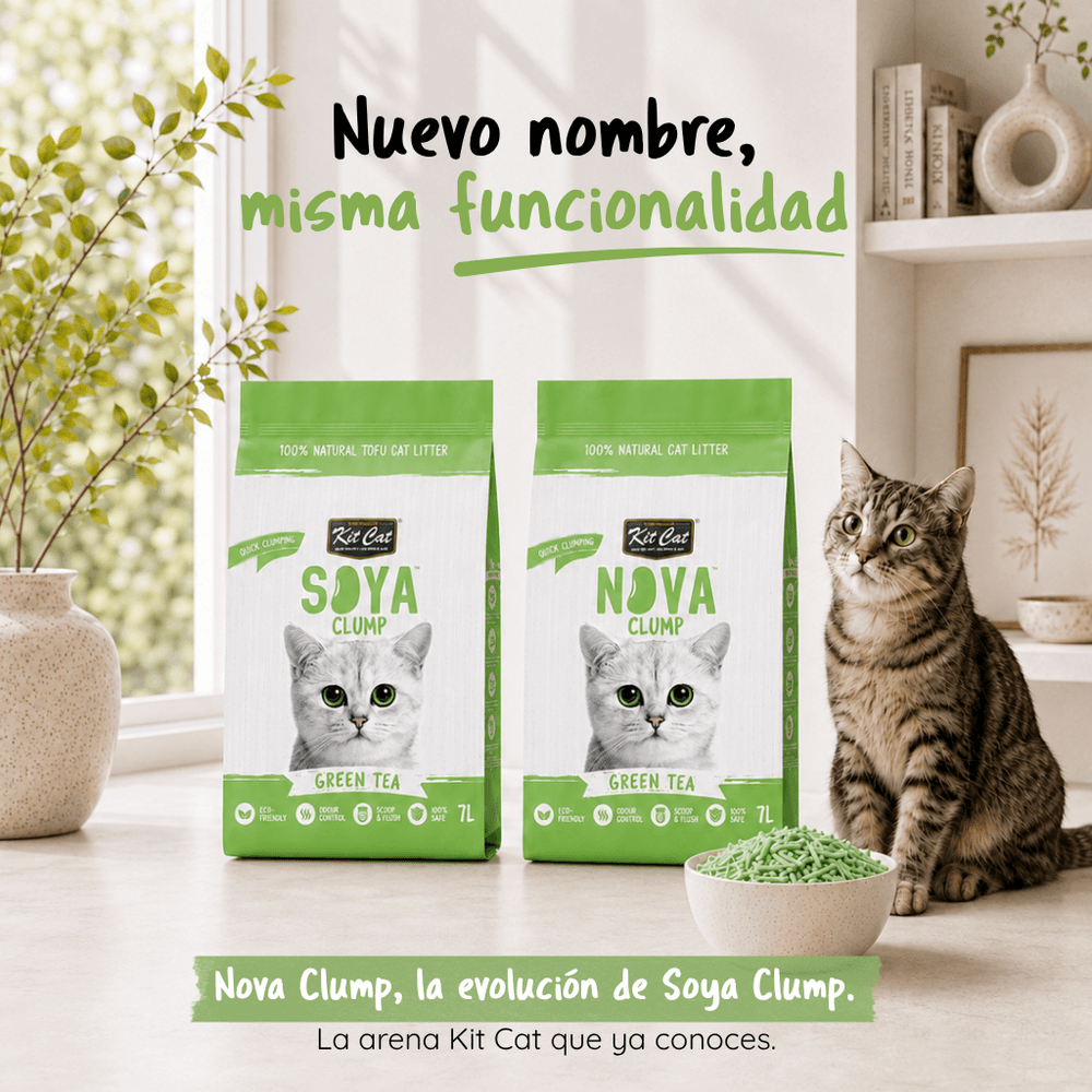 Nova Clump Green Tea Plant-Based Clumping Cat Litter | Kit Cat