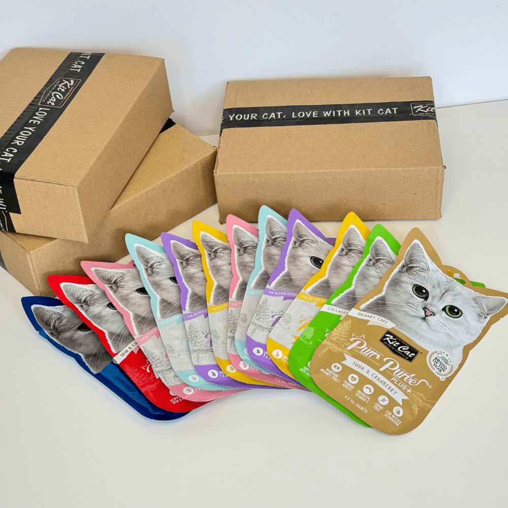 Confezione PurrPuree (12 pezzi)