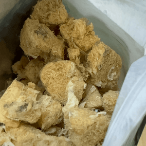 FreezeBites Morue 15g - Snack lyophilisé 