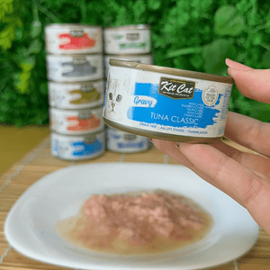 Classic Tuna with Katsuobushi 70g - Wet food in Gravy