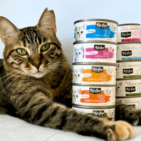 Compra más por menos🛒