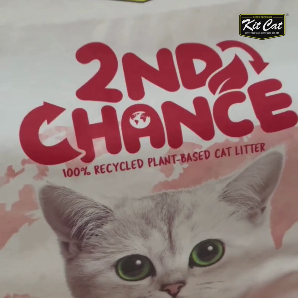 
            
                Charger et lire la vidéo dans la visionneuse de la Galerie, Arena 2nd Chance - Thé noir, pois et feuilles de manioc
            
        