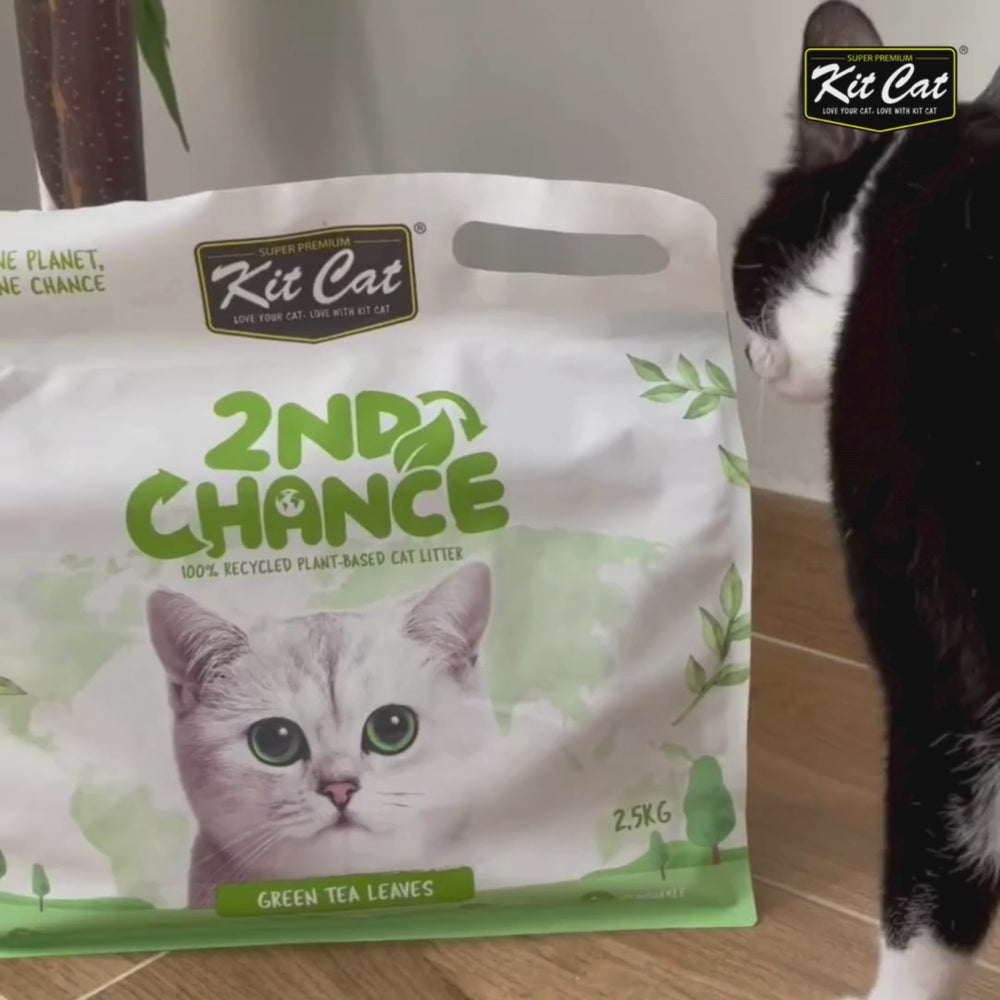 
            
                Charger et lire la vidéo dans la visionneuse de la Galerie, Arena 2nd Chance - Thé vert, pois et feuilles de manioc
            
        