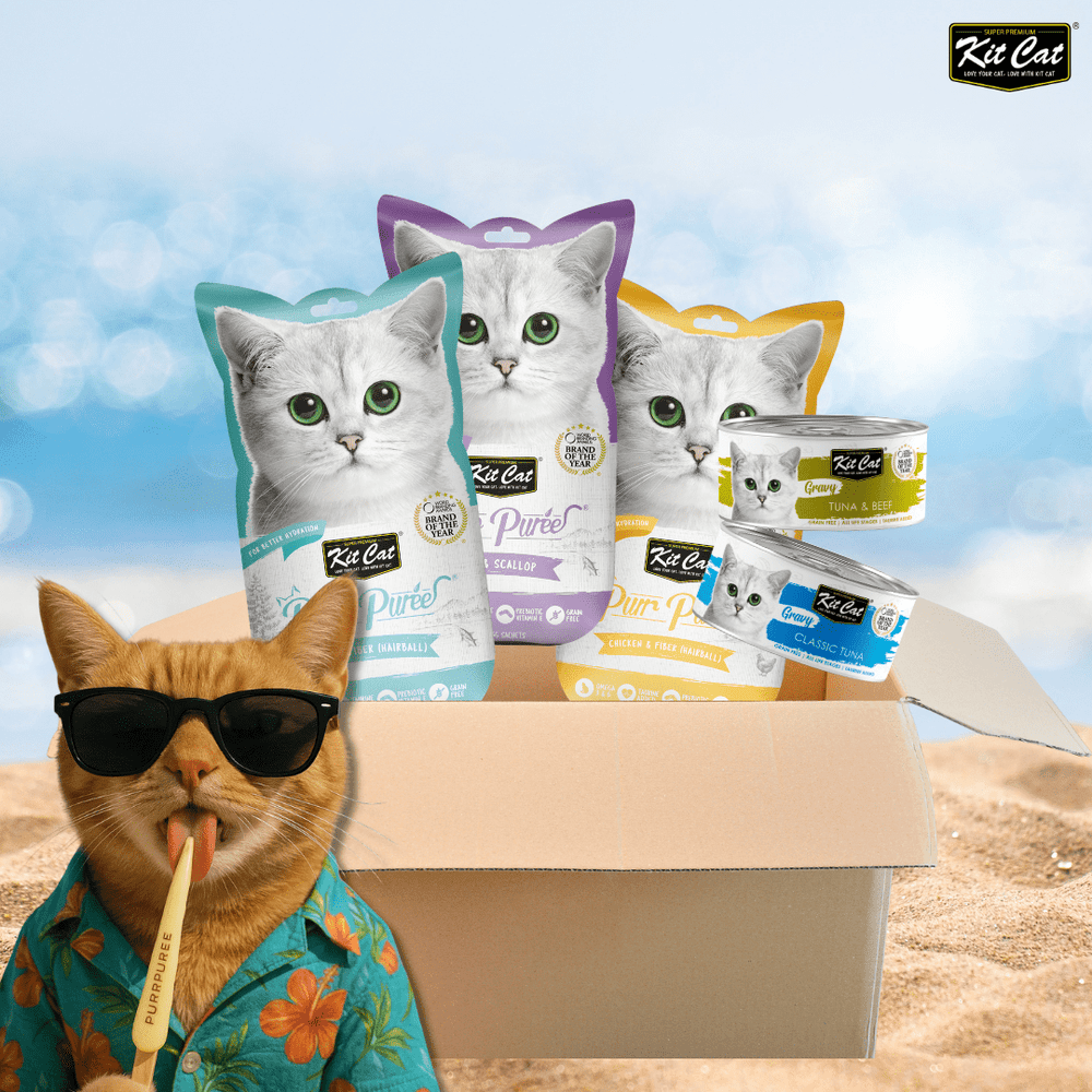 🎁❤️ Pack degustación especial verano