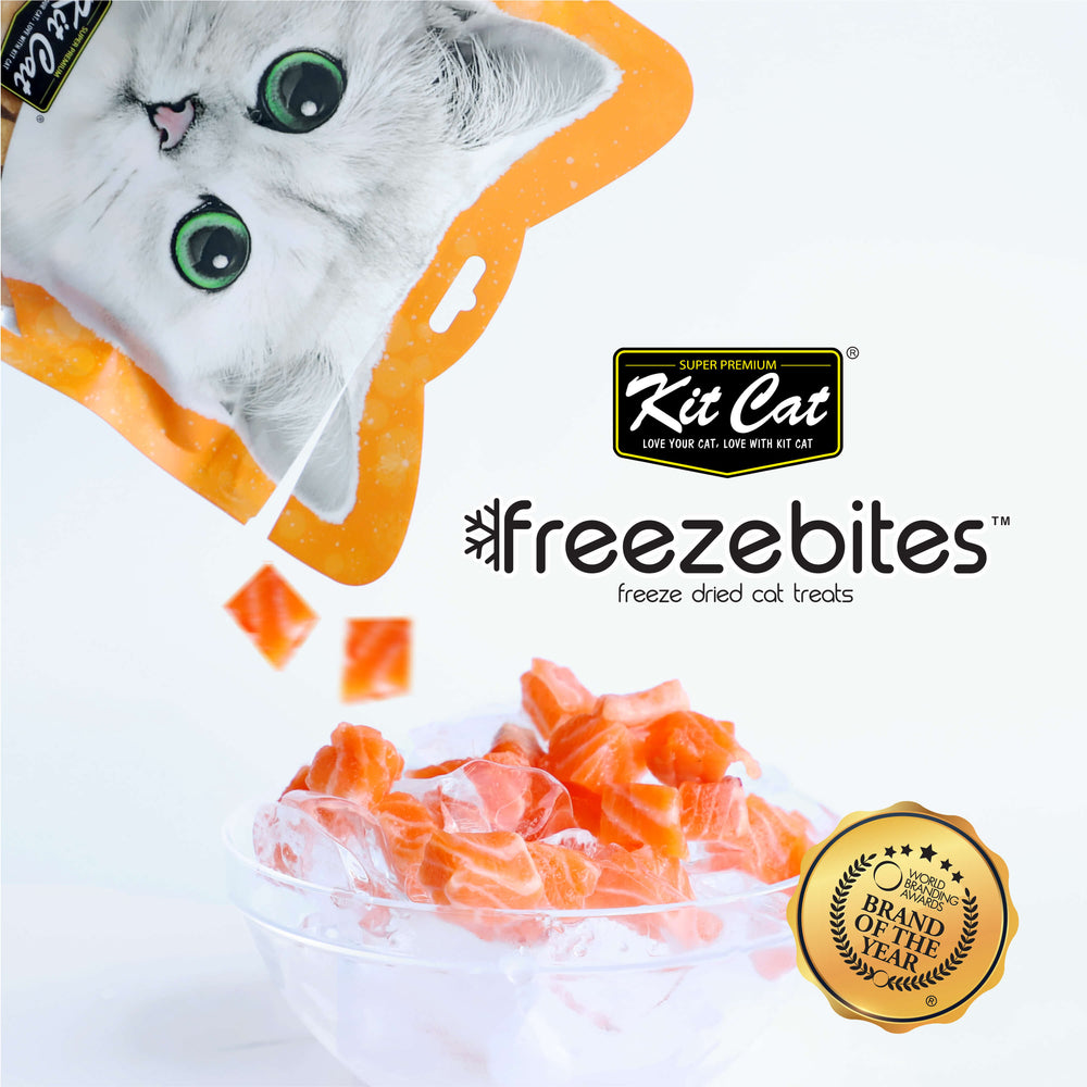 FreezeBites Lachs 15g - Gefriergetrockneter Snack