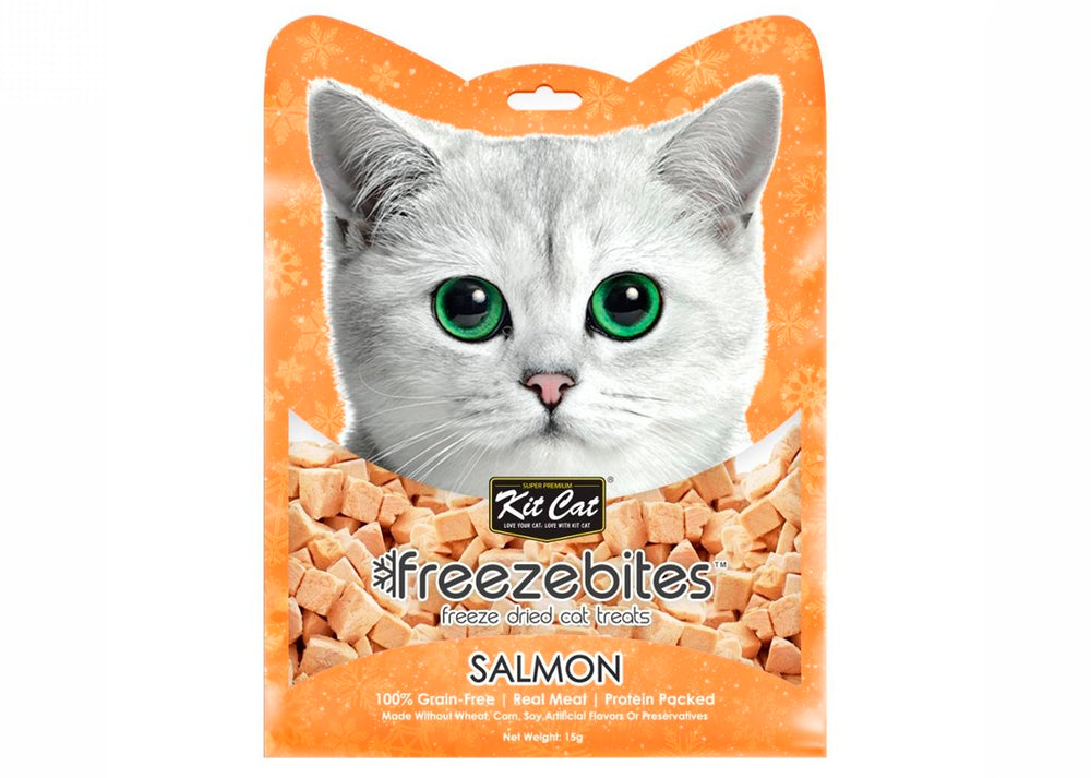 FreezeBites Salmone 15g - Snack liofilizzato