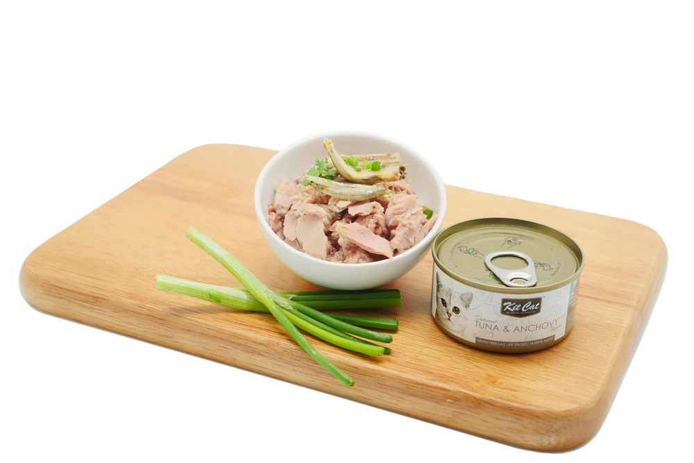 Tuna with Anchovies 80g - Wet food in Jelly